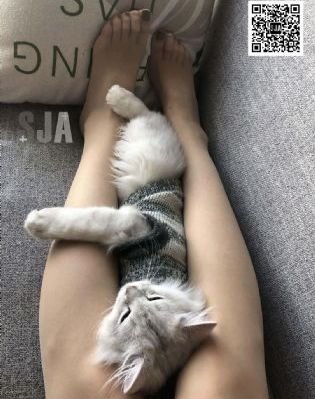 精品美女激情视频线播放_BD免费在线播放